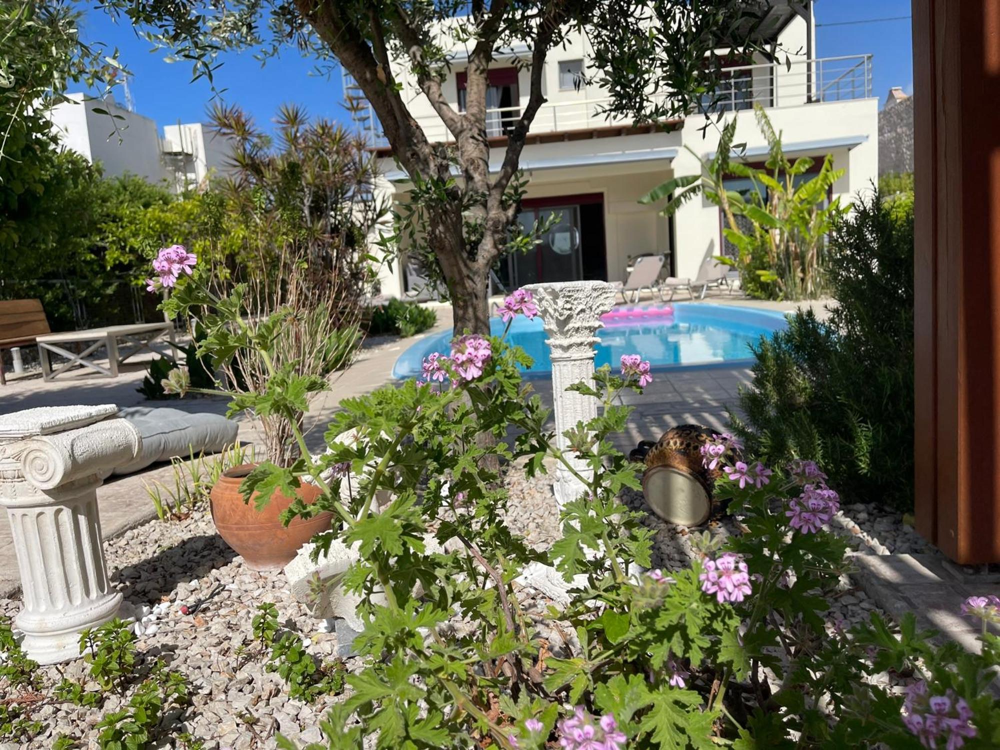 Chrysa Rhodes Villa *